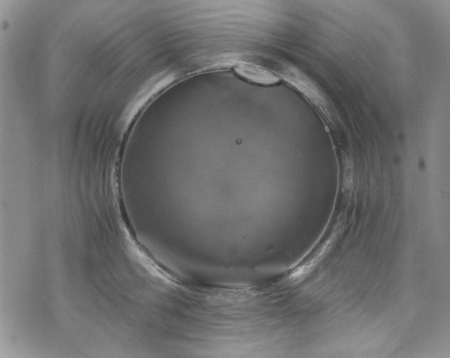 X0000076270806200609281204