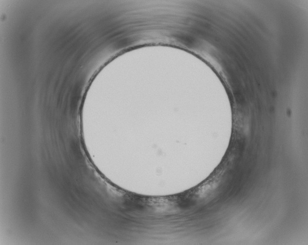 X0000076270807200609281204