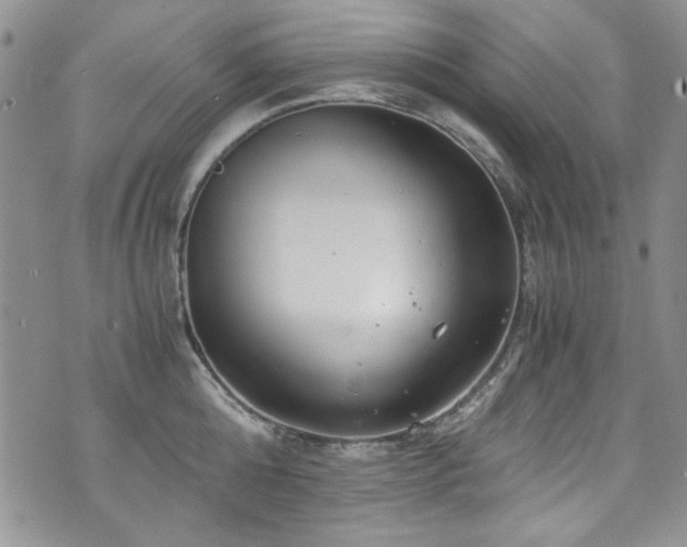 X0000076270808200609281204