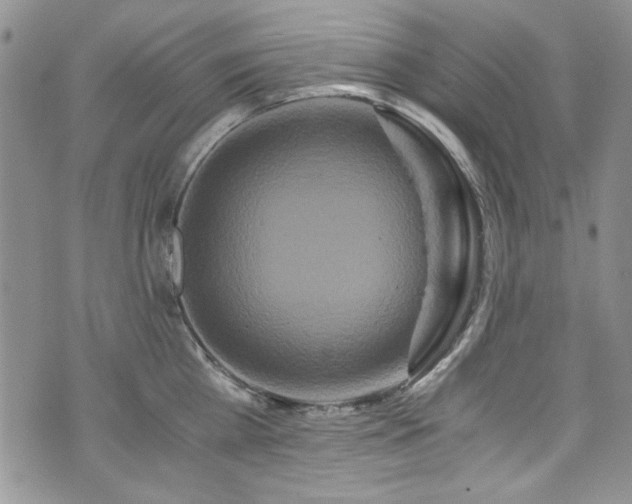 X0000076270809200609281204