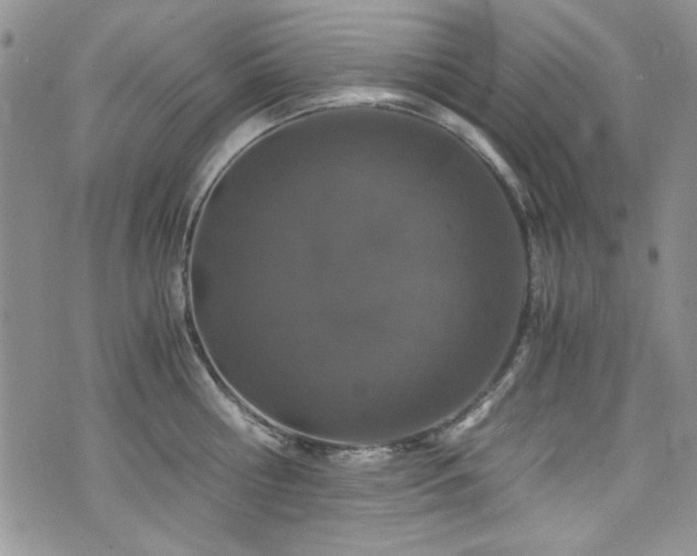 X0000076270810200609281204