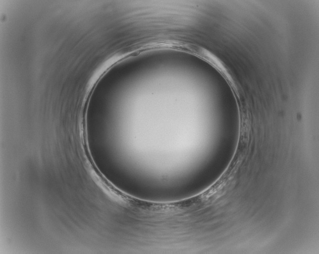 X0000076270811200609281204