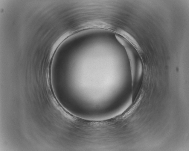 X0000076270812200609281204