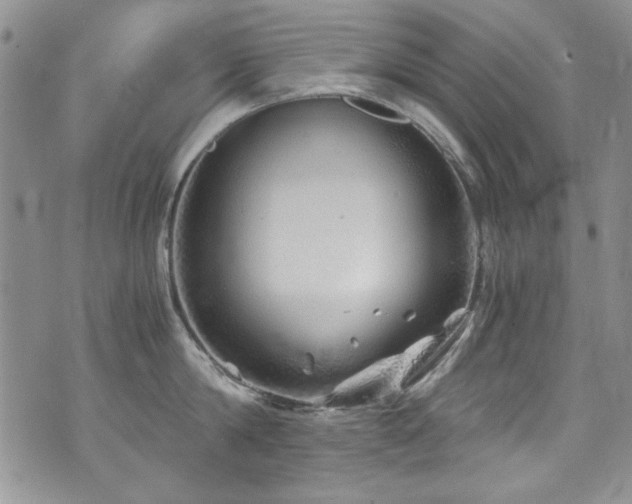 X0000076270814200609281204