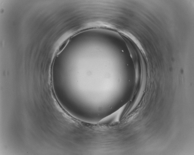 X0000076270815200609281204