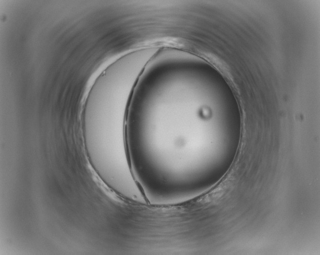 X0000076270816200609281204