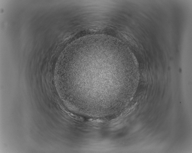 X0000076270817200609281203