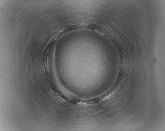 X0000076270818200609281203