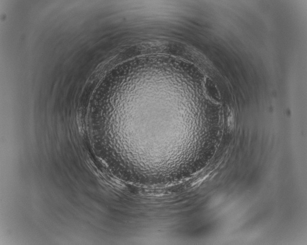 X0000076270819200609281203