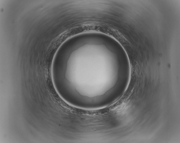 X0000076270821200609281203