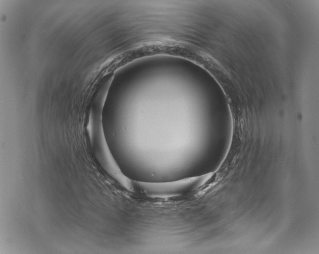 X0000076270822200609281203