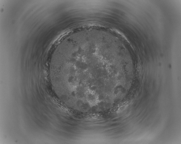 X0000076270823200609281203