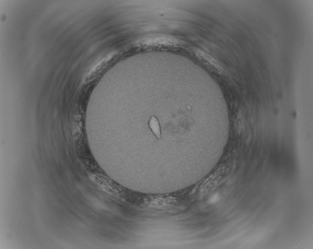 X0000076270824200609281203