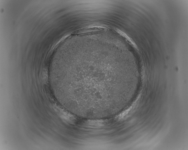 X0000076270825200609281203