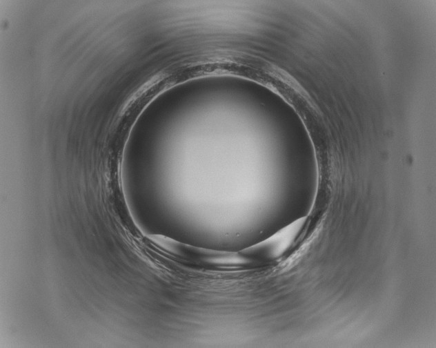 X0000076270826200609281203