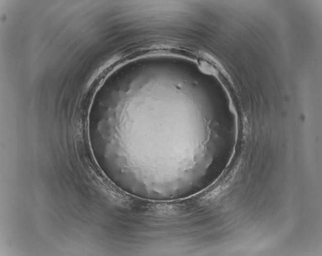 X0000076270827200609281203