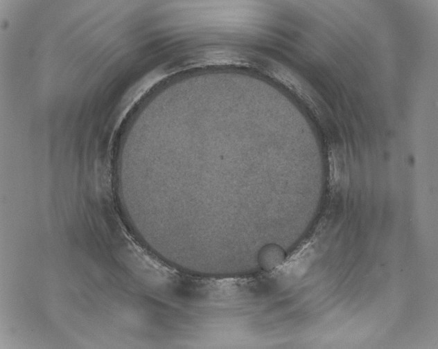 X0000076270828200609281203