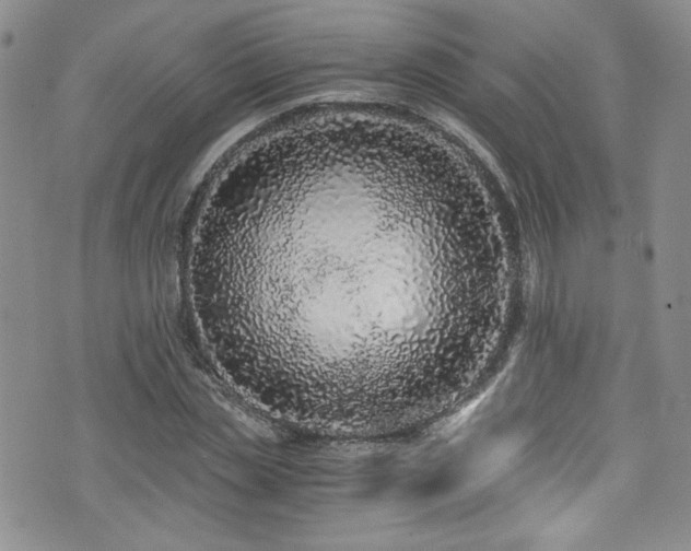 X0000076270829200609281203