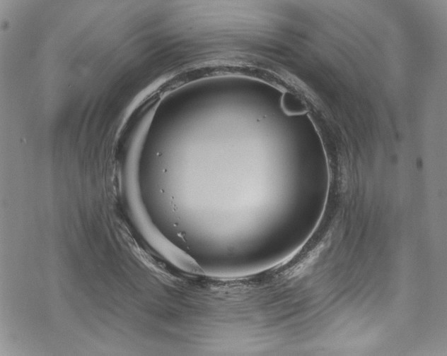 X0000076270830200609281203