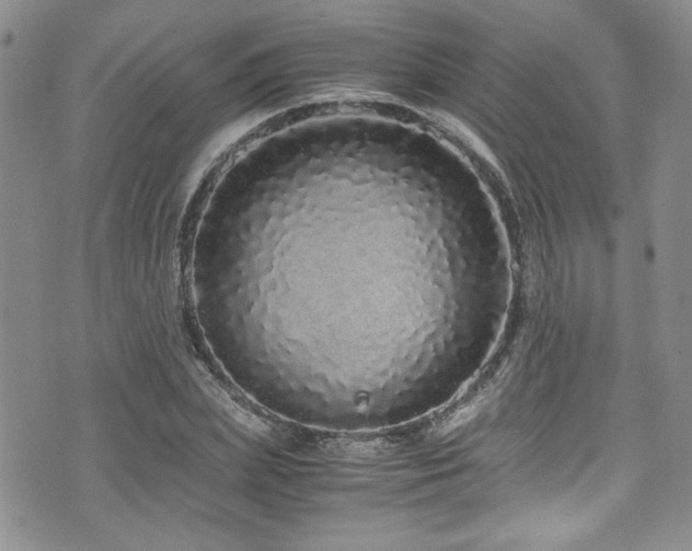 X0000076270831200609281203