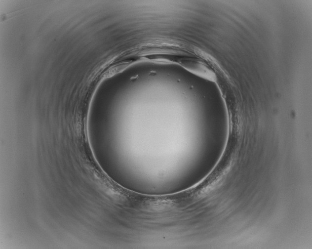 X0000076270833200609281203