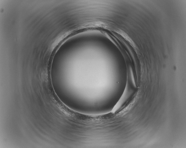 X0000076270834200609281203