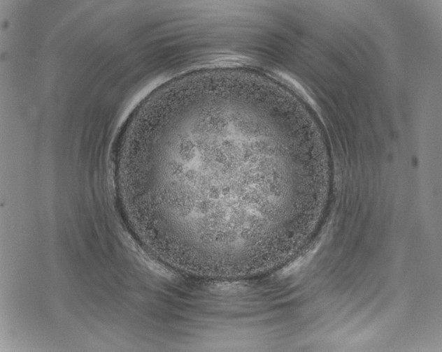 X0000076270835200609281203