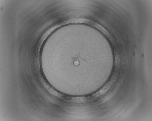 X0000076270836200609281203