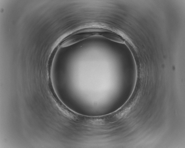 X0000076270837200609281203