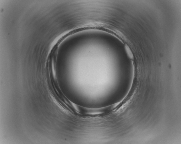 X0000076270838200609281203