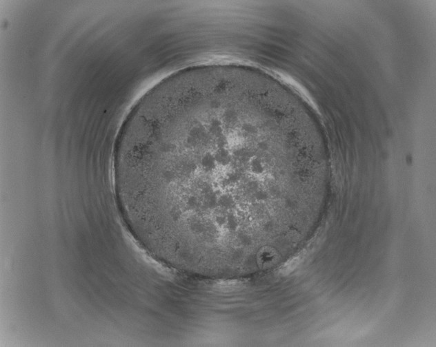 X0000076270839200609281203