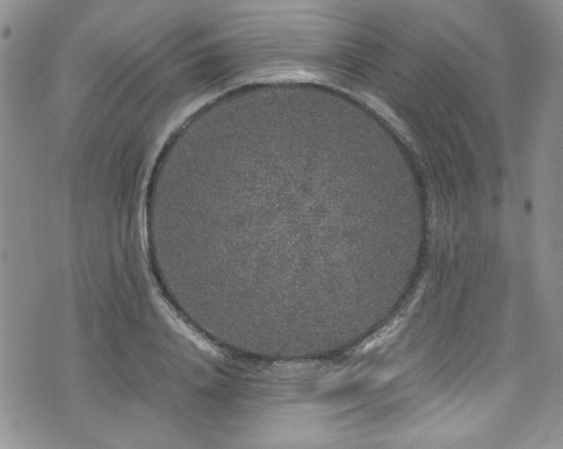 X0000076270840200609281203