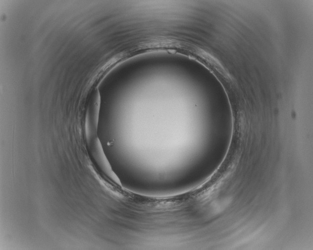 X0000076270841200609281203