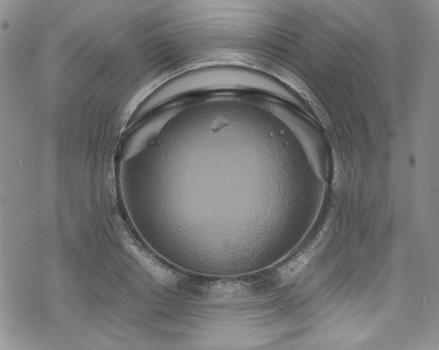 X0000076270842200609281203