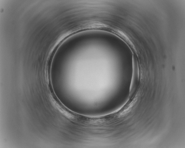 X0000076270843200609281203