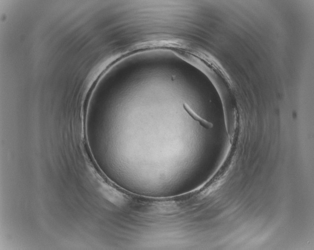 X0000076270844200609281203