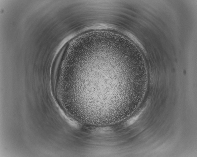 X0000076270845200609281203