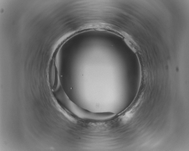 X0000076270846200609281203