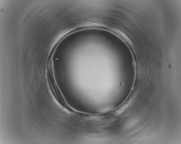 X0000076270847200609281203