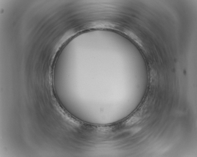 X0000076270848200609281203