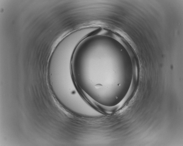 X0000076270850200609281203