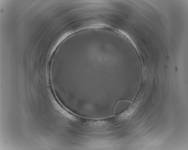 X0000076270851200609281203