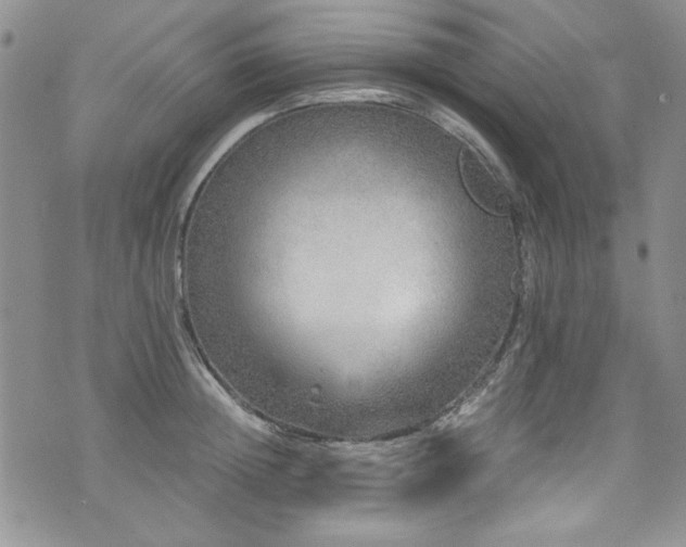 X0000076270852200609281203