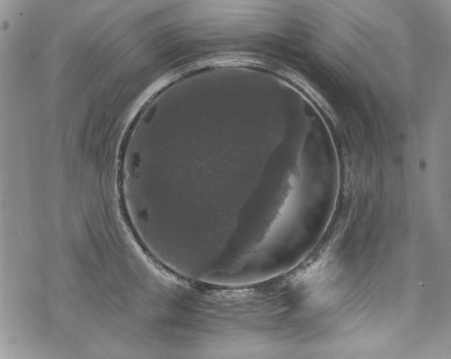 X0000076270853200609281203