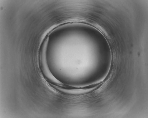 X0000076270854200609281204