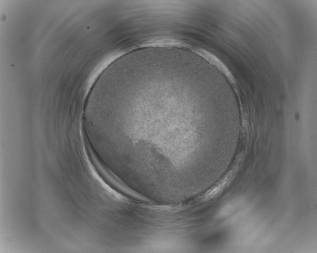 X0000076270855200609281204