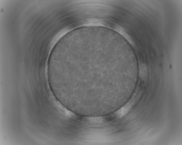 X0000076270856200609281204