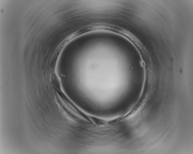 X0000076270857200609281204