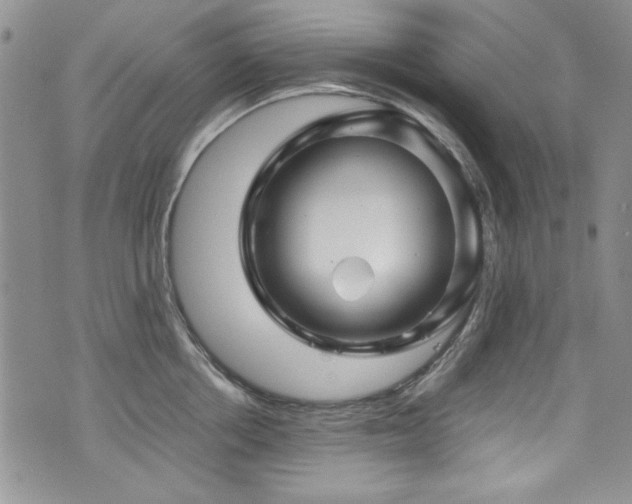 X0000076270858200609281204