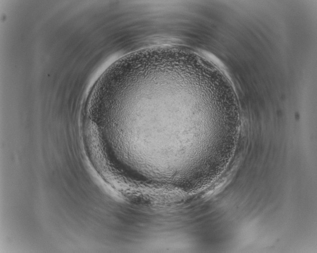 X0000076270859200609281204